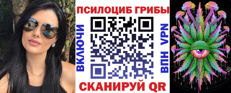 Псилоцибиновые грибы мицелий  купить наркотик  Бавлы 